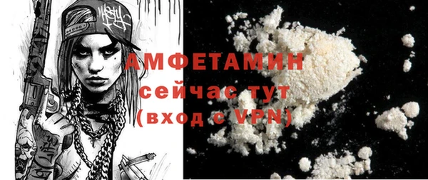 дмт Новозыбков